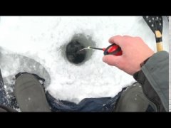 На глубине загибает кивок. Обское водохранилище. Рыбалка 2026.