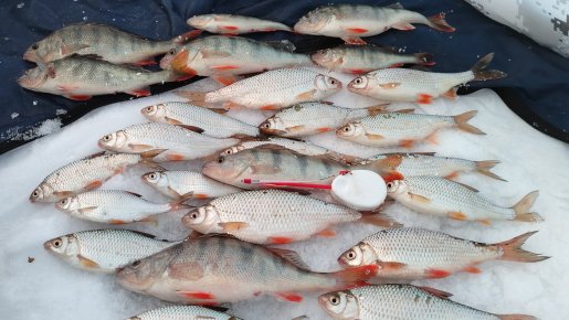 "Закрыл январь на ОВХ".