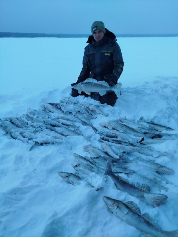 Давно так не попадал!