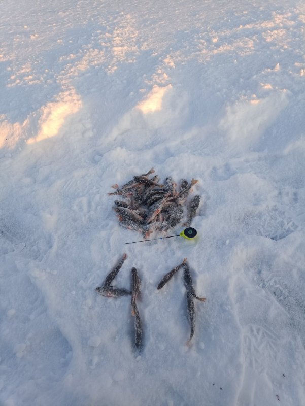 Сегодня Юго-Западный котлован скромен