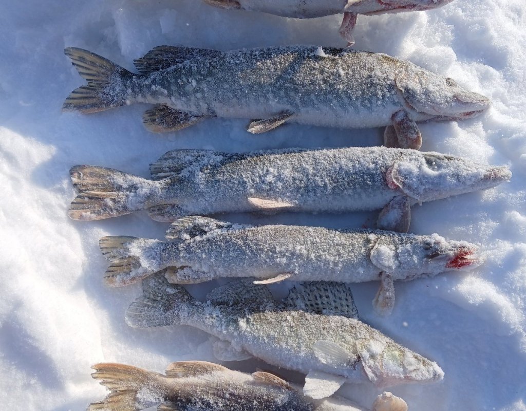 Опять Соколовская