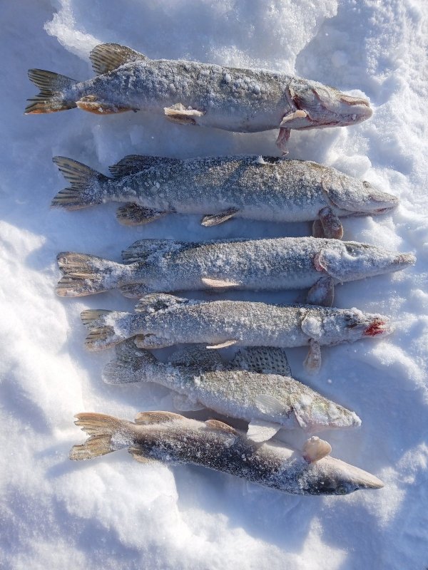 Опять Соколовская