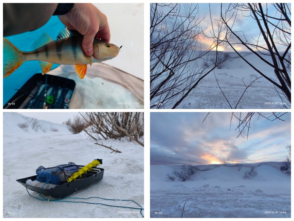 Проветривание организма.