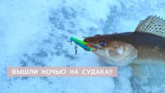 Судак исчез! 9 Часов впустую active target бессилен, рыба бастует