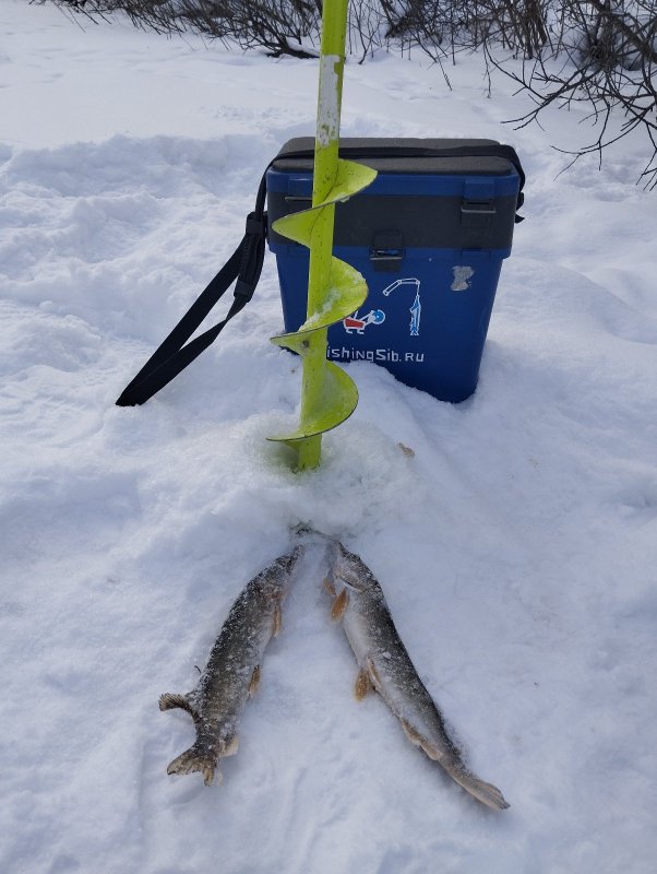 "Двойняшки"!..