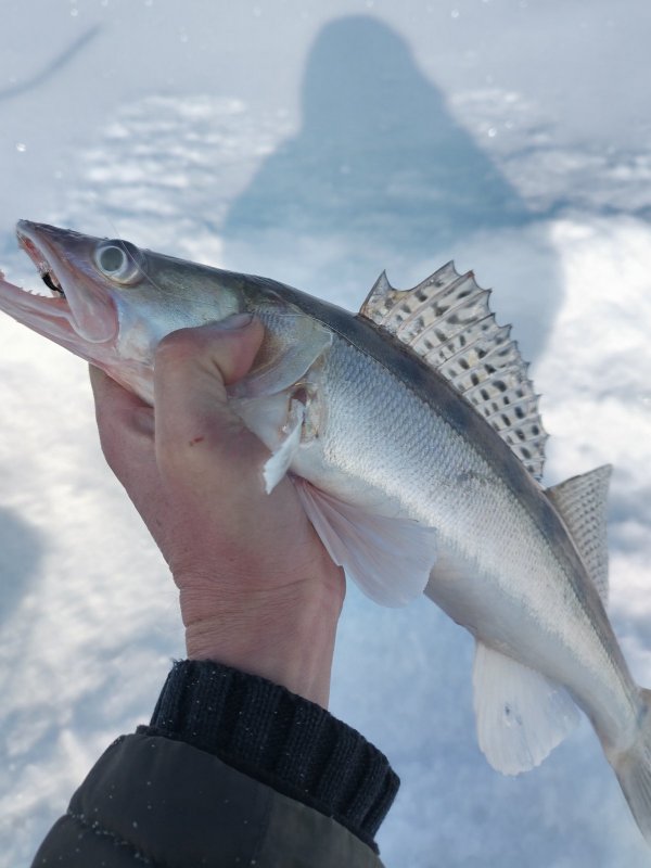 Тань- Ваньский, на мормышку.