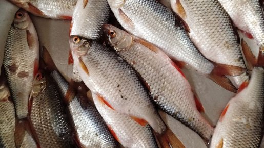 Опять на Глухом 10.01.