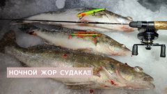 Ночной жор судака! Этот Виб творит чудеса!!! Зимняя рыбалка на судака