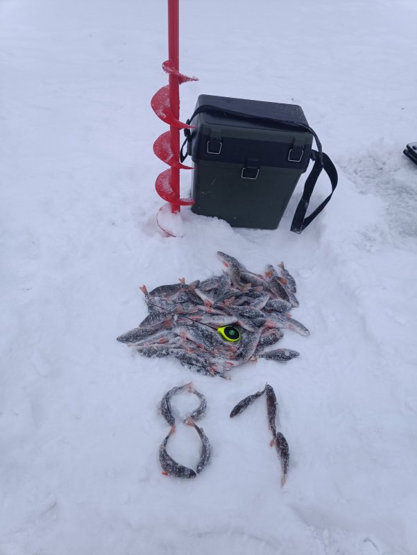 Распечатан 2026 год на домашнем котловане.