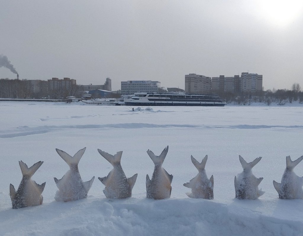 Статуи острова Пасхи (оставил на льду покушать птичкам)