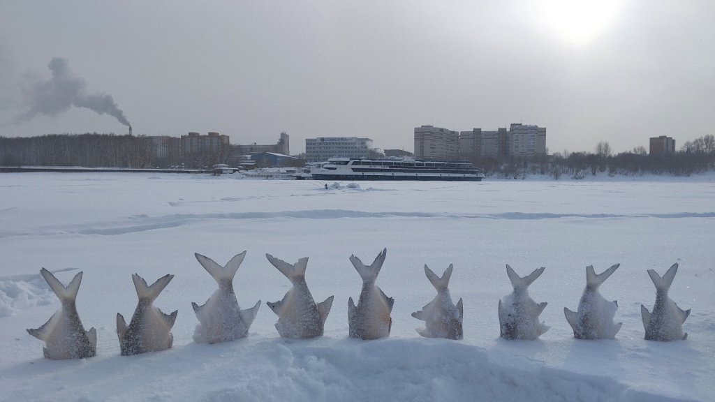 Статуи острова Пасхи (оставил на льду покушать птичкам)