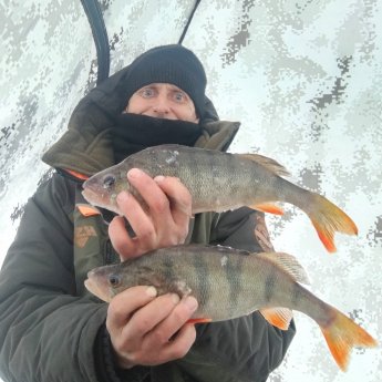 " У страха глаза велики".