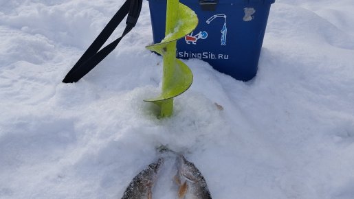 То ли "Двойняшки",то ли "Близняшки"!..