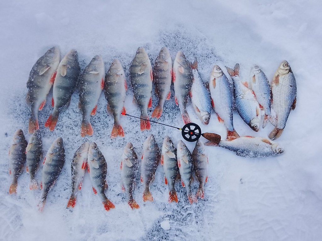 Два дня на городской яме