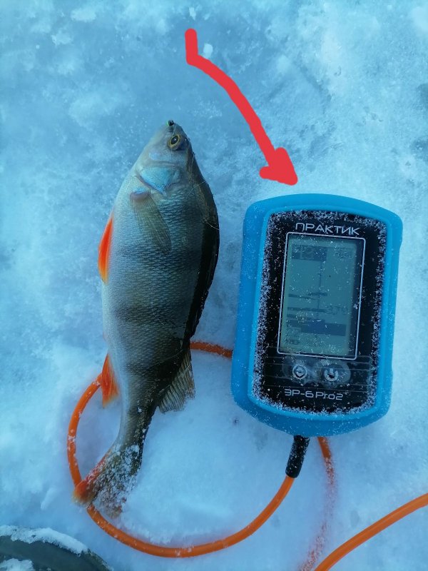 На фото , старый надёжный друг.