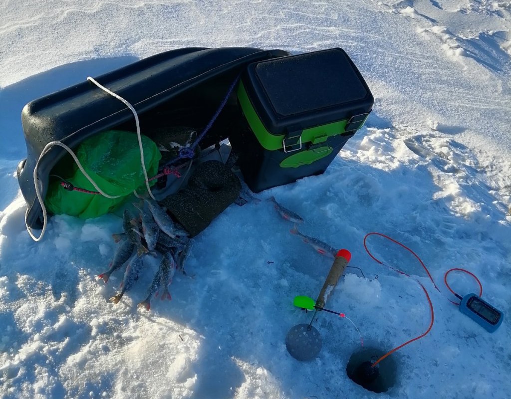 Спрятался от ветра.