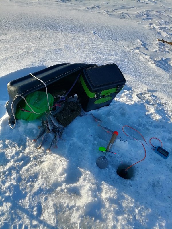 Спрятался от ветра.