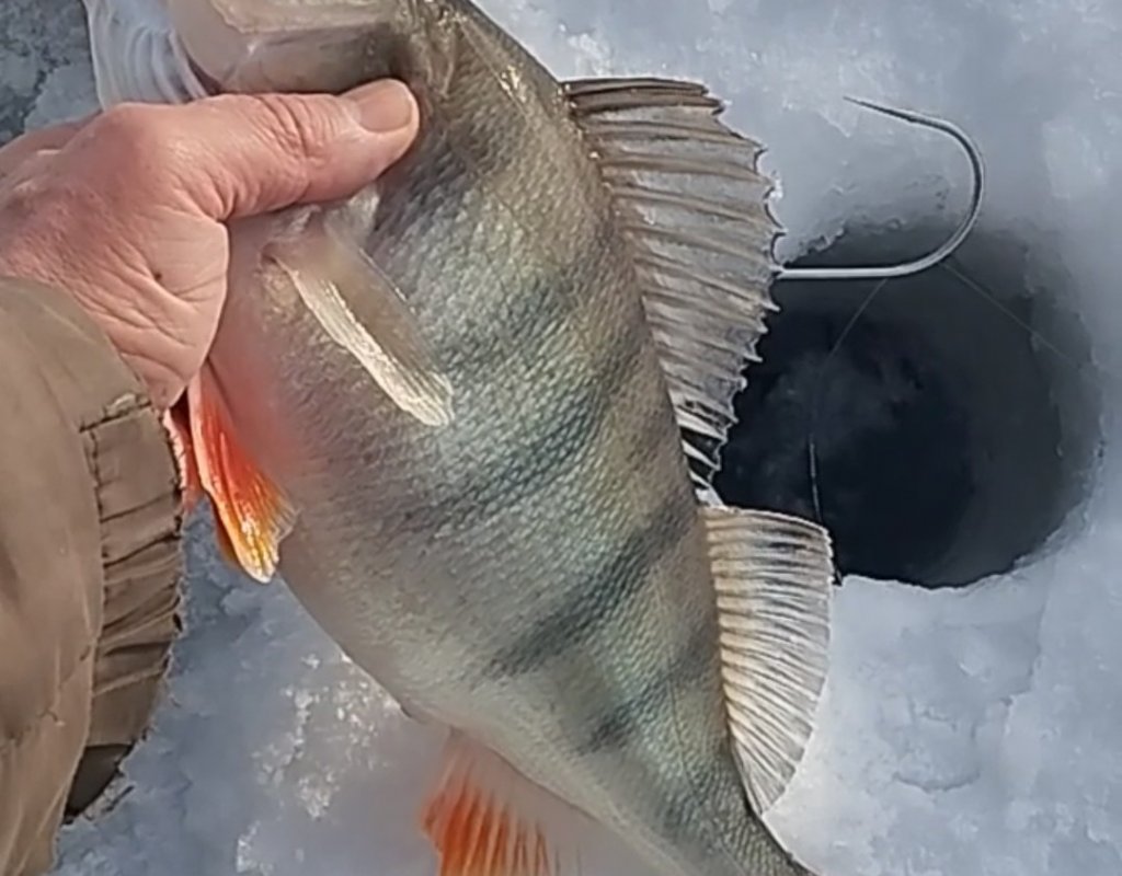 ТаньВань. Хорошо, что взял багорик.