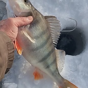 ТаньВань. Хорошо, что взял багорик.