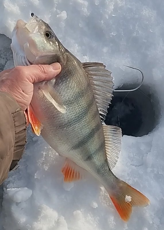 ТаньВань. Хорошо, что взял багорик.