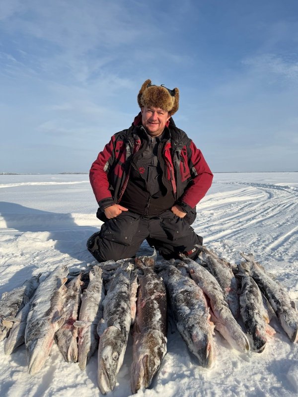 Таежные дары