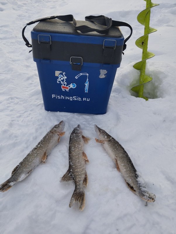 * Двое, трое,не одна!*