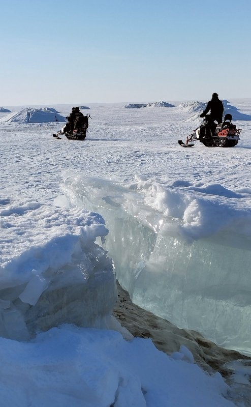ТаньВаньские пупы.