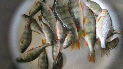 Понедельник на Глухом