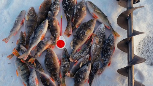 С мормышкой на речке.