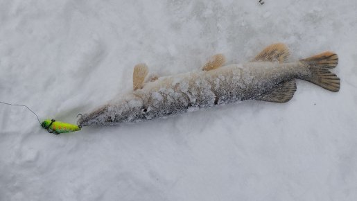 Теперь "Тройняшки"!..