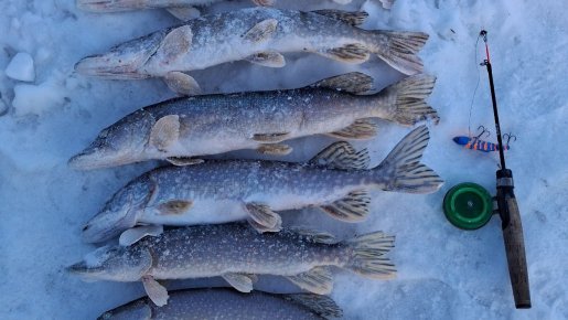 Выходные Спирино