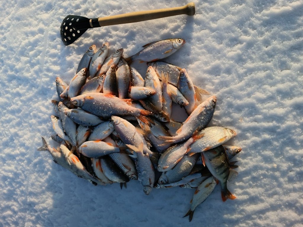 ОВХ сегодня порадовало