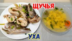 Светлый бульон в УХЕ ???!!! | Уха из Щуки