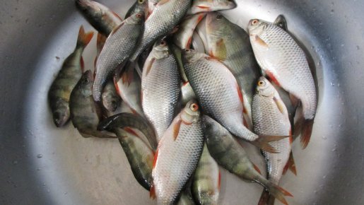 Вчера на Глухом