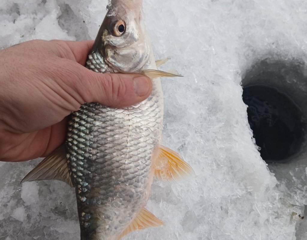 Камень черта города