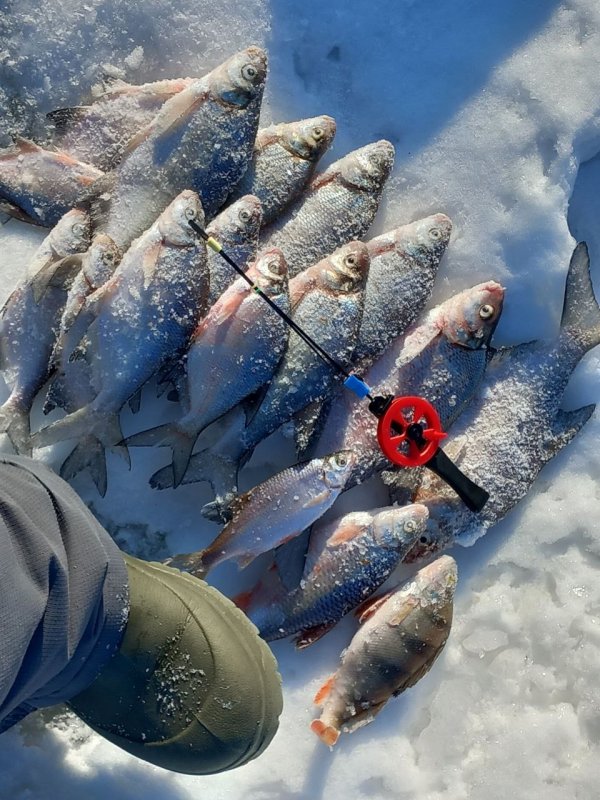 Инструментальный котлован (Котлован им. БКБ).