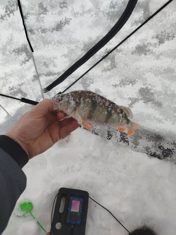 Аванпорт 7.01.26