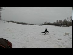 Разведка карьера. Сорока утащила рыбу.