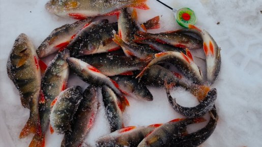 Малая речка. Мормышка.