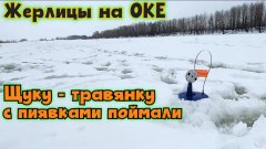 Поймали щуку-травянку с пиявками на Оке. Жерлицы и зимняя рыбалка - 2026 !! (Диалоги о рыбалке)