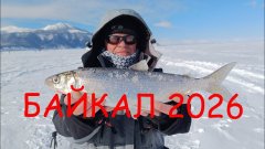 Рыбалка на Байкале 2026.