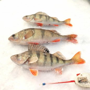 ОВХ. Маловато будет.