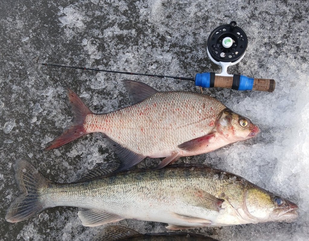 Камень на Оби