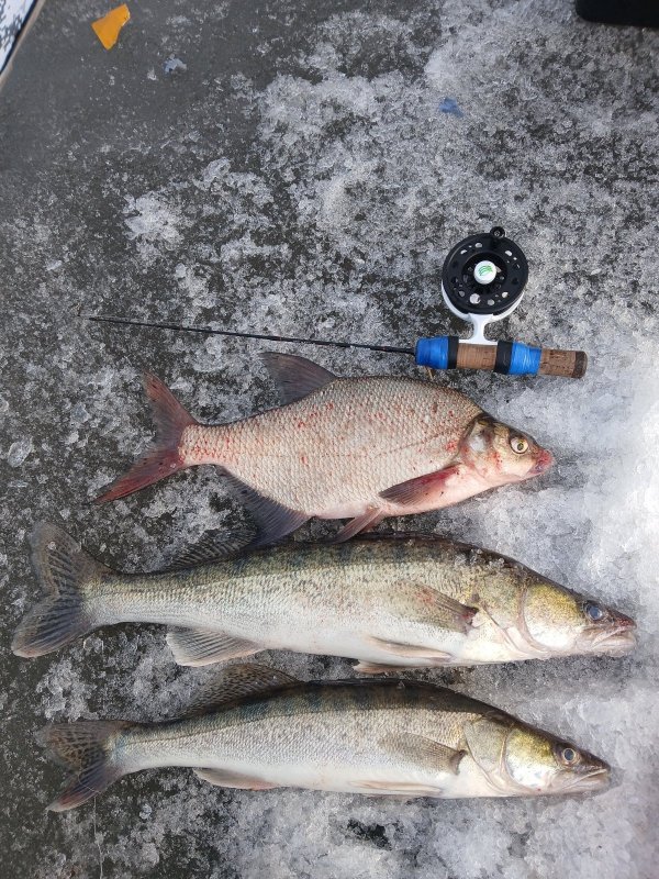 Камень-на-Оби