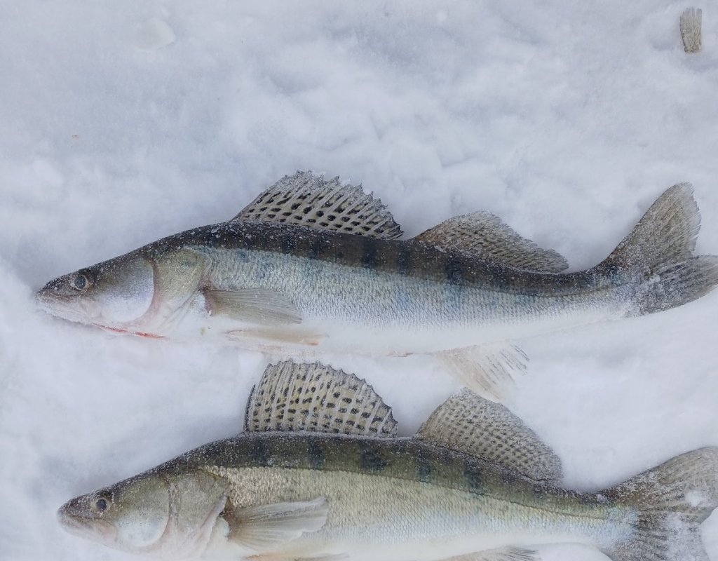 Итог 05.03.2026.