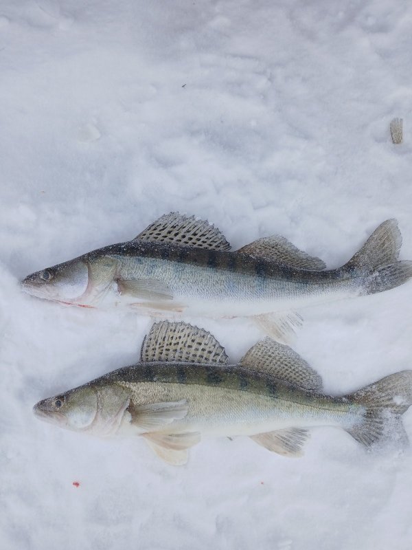 Итог 05.03.2026.