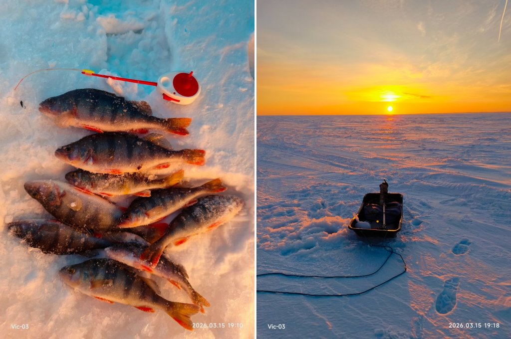 Неклëвые полдня, ОВХ.
