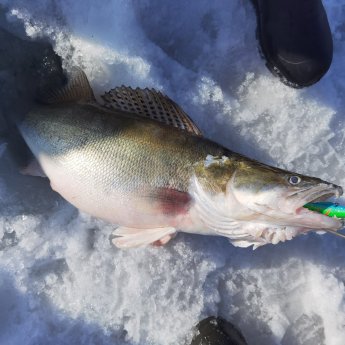 Кто бы мог подумать, что такое возможно повторить