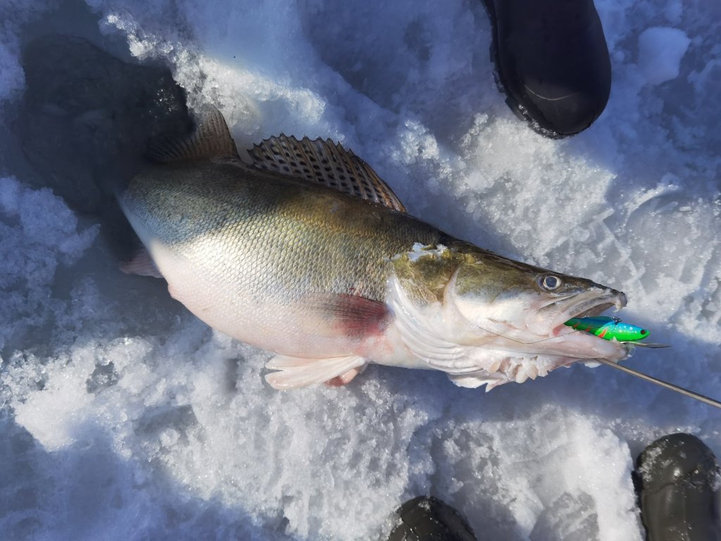 Кто бы мог подумать, что такое возможно повторить