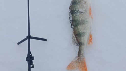 ОВХ Не случилось